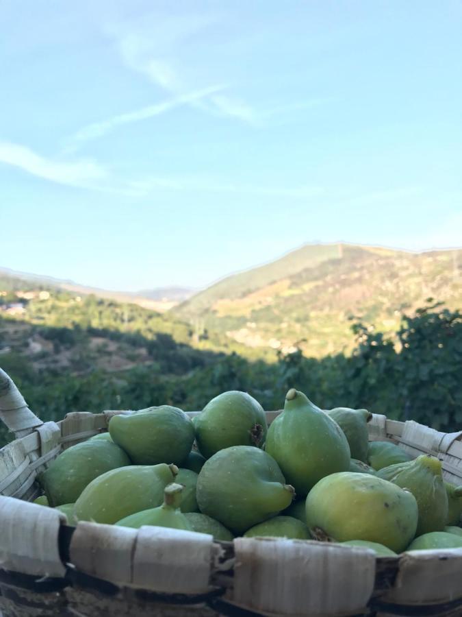 Private Douro- Quinta Das Susandas Мезан-Фриу Экстерьер фото
