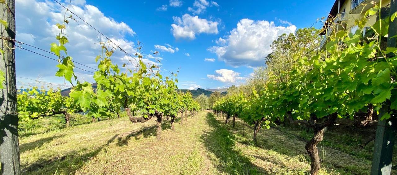 Private Douro- Quinta Das Susandas Мезан-Фриу Экстерьер фото