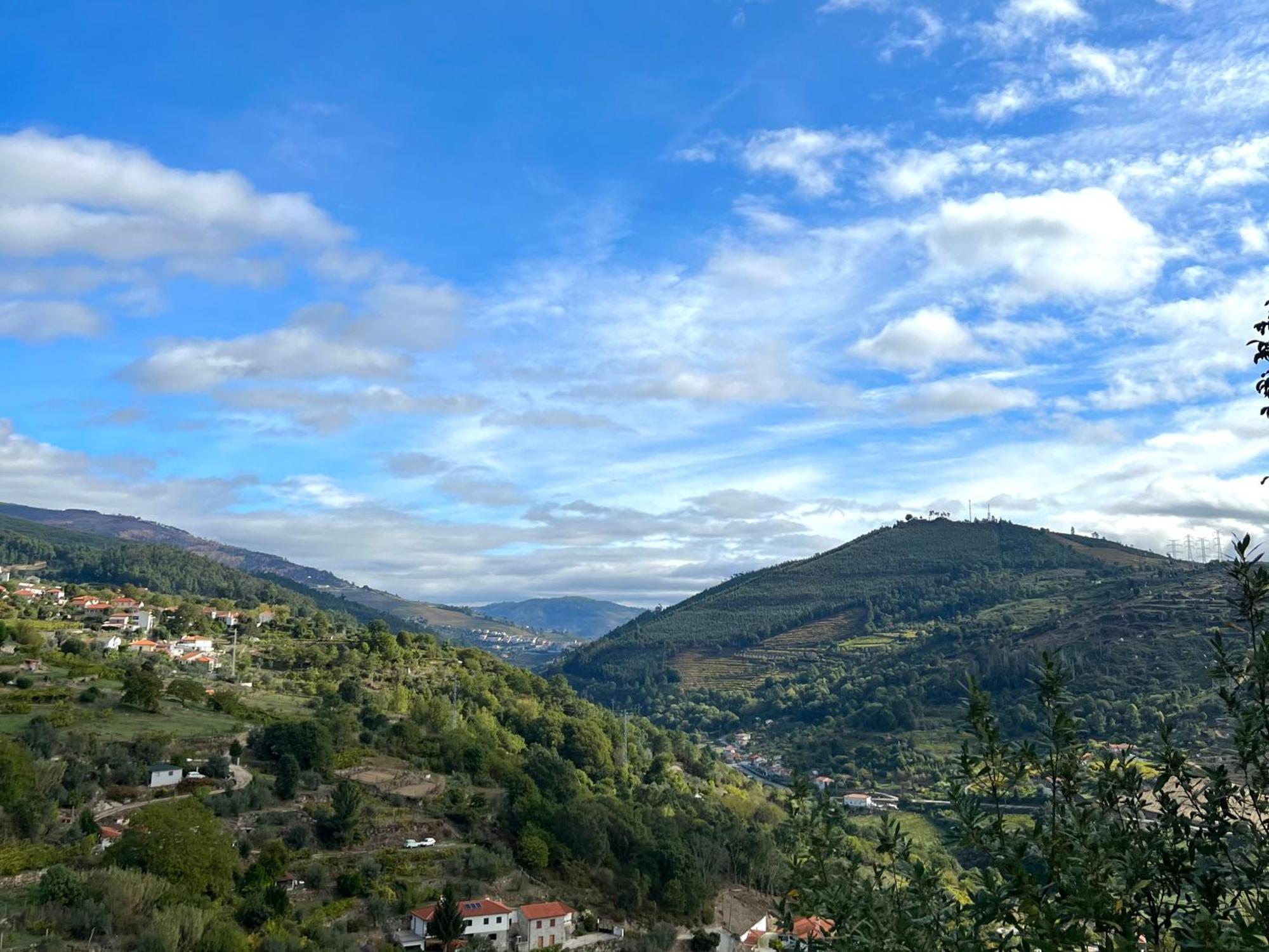 Private Douro- Quinta Das Susandas Мезан-Фриу Экстерьер фото