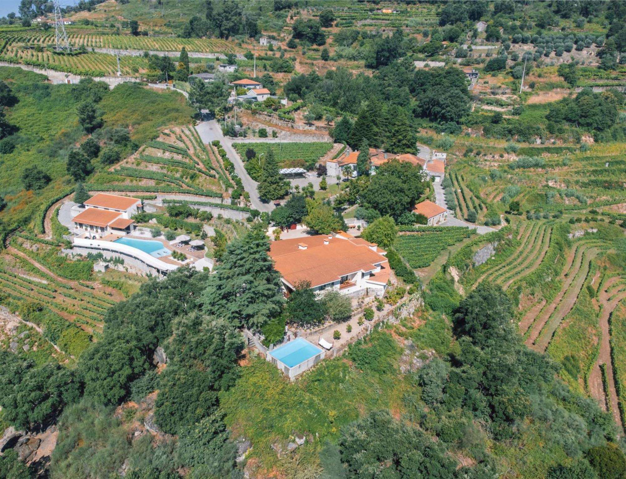 Private Douro- Quinta Das Susandas Мезан-Фриу Экстерьер фото